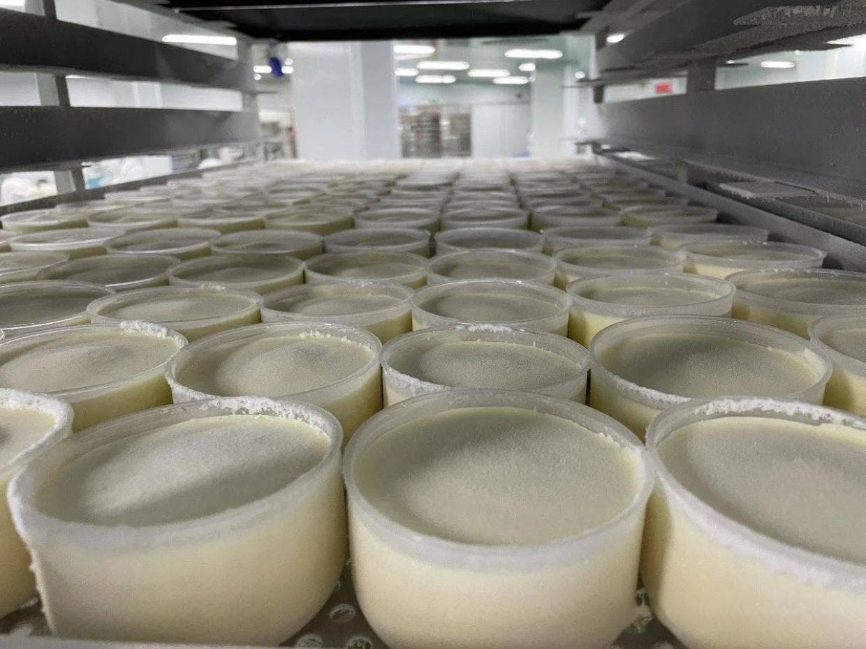 创新突破：液氮速冻技术为冷冻烘焙食品带来的变革