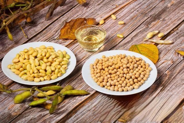 大豆油精炼设备，精炼处理对大豆油品质的影响