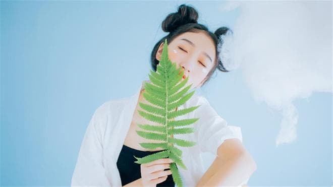 地支相害，解密生肖命理中的微妙影响