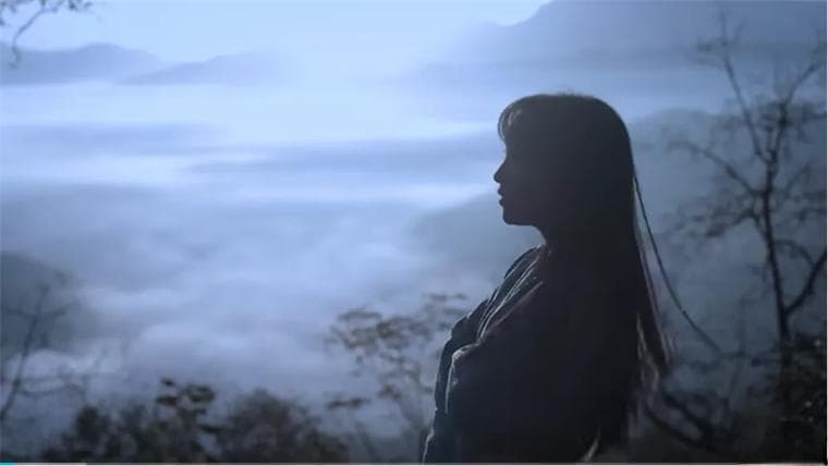 李子柒，活成董宇辉理想型