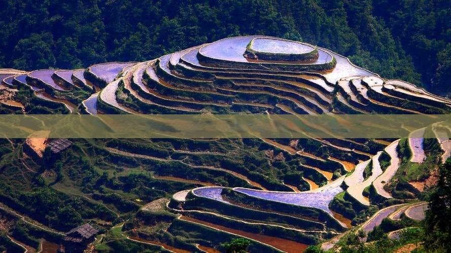 张家界与武夷山终极旅游攻略：全面解析行程规划、特色体验与美食推荐