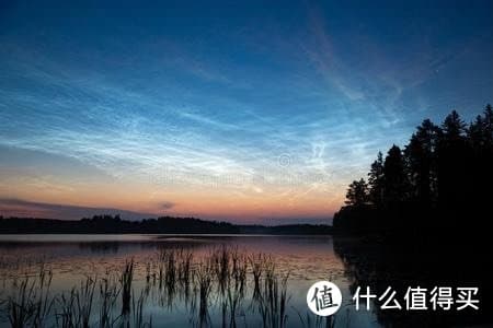 兔子作为宠物饲养的注意事项与健康管理