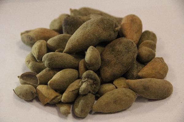 治心跳过快的中药方剂