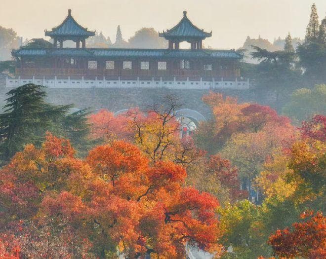 玄武门景点介绍：穿越历史与自然的奇妙之旅