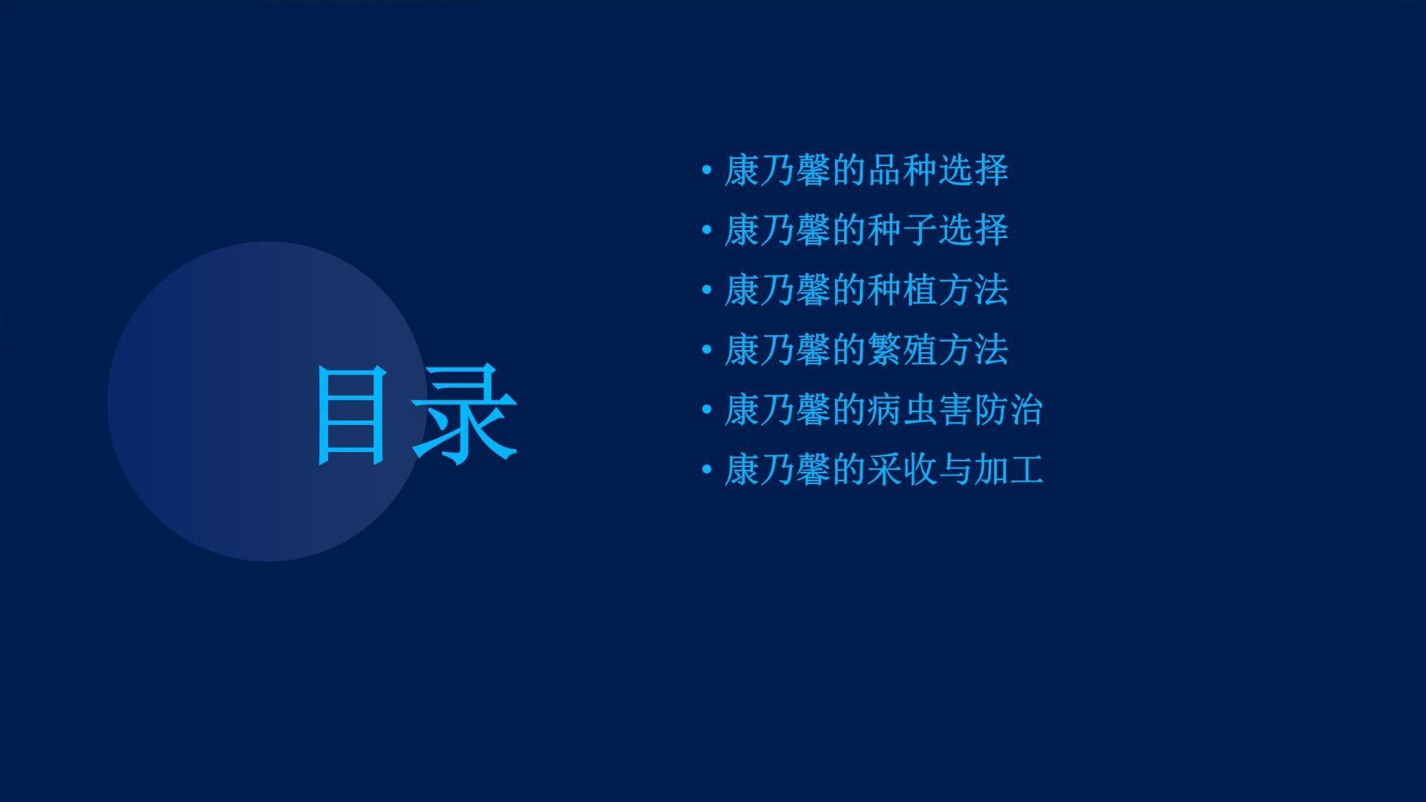 康乃馨种植完全指南：从选种到采收的全程详解