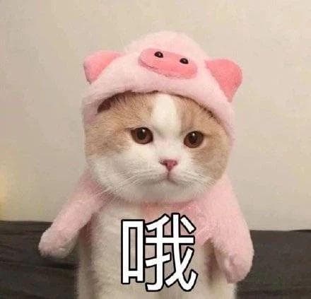 限制 Textarea 字数