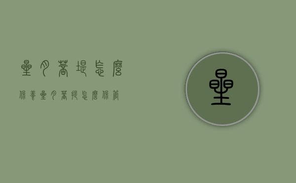 星月菩堤怎么保养（星月菩提怎么保管）