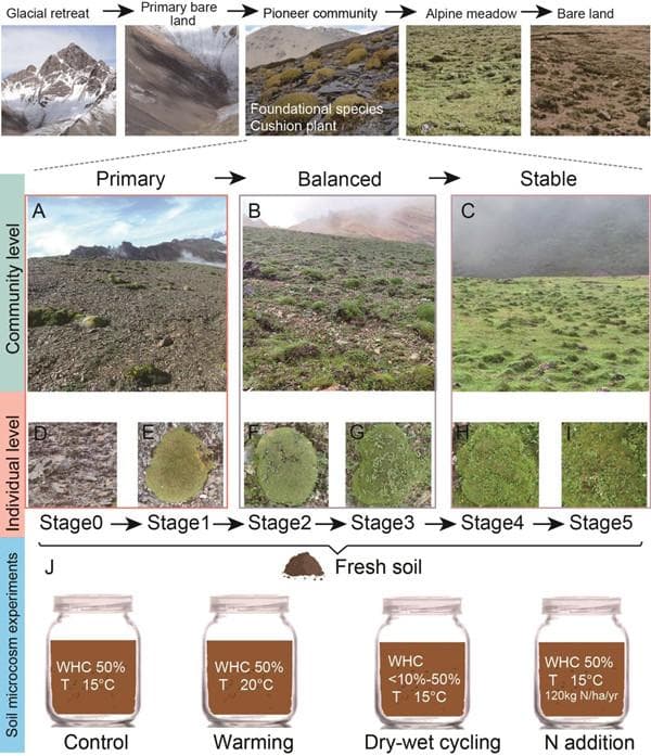 鱼与熊掌不可兼得？高山冰缘生态系统退化导致土壤微生物多样性与生态系统功能解耦