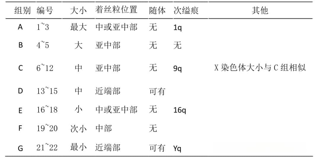 染色体你不知道的秘密—核型分析报告的解读