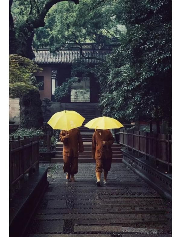 舟山探寺，最潮的目的地在寺庙