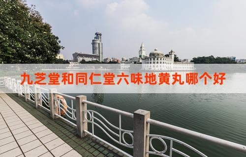 九芝堂和同仁堂六味地黄丸哪个好：全面对比分析