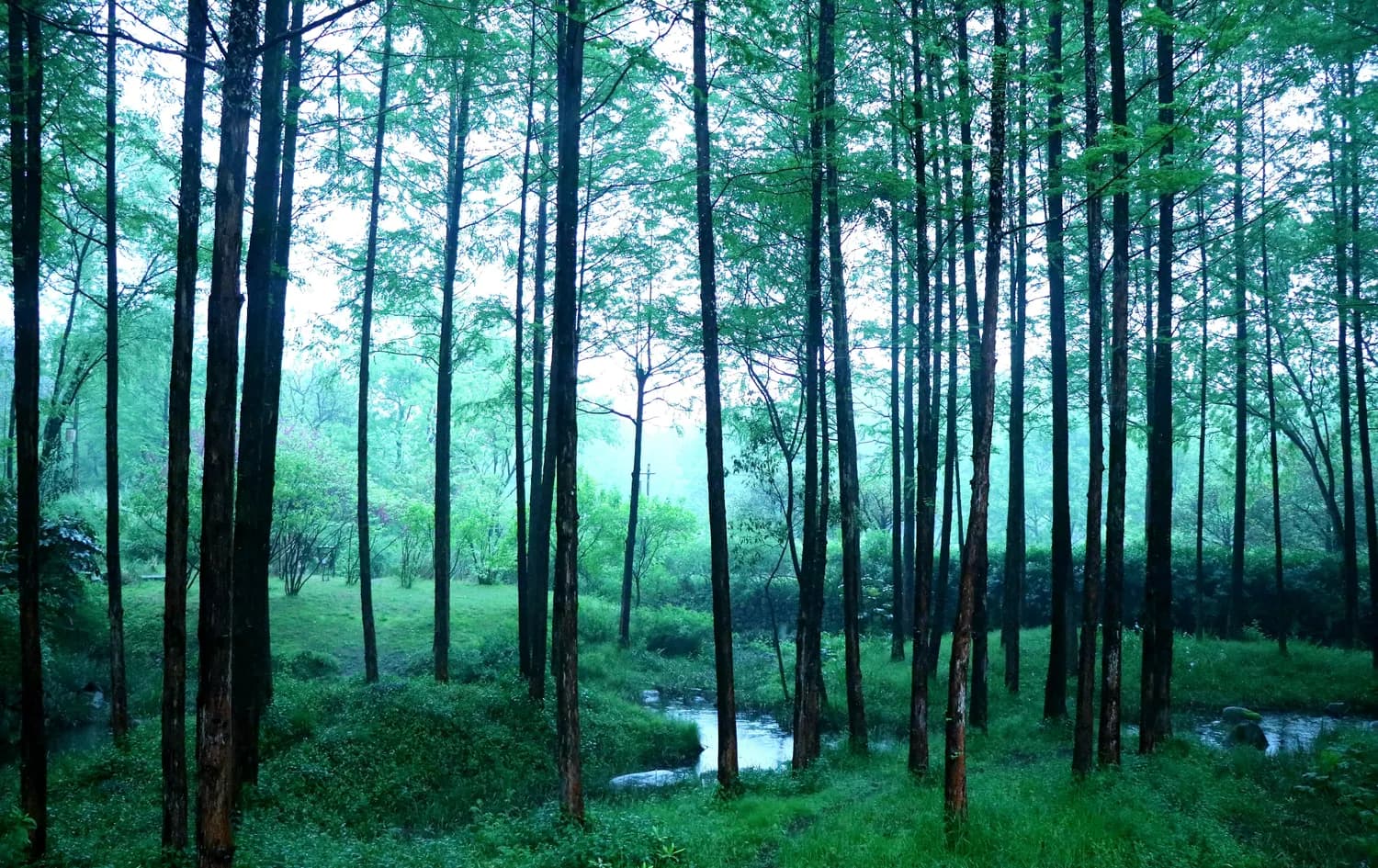 南平市的隐藏美景，你知道几个？