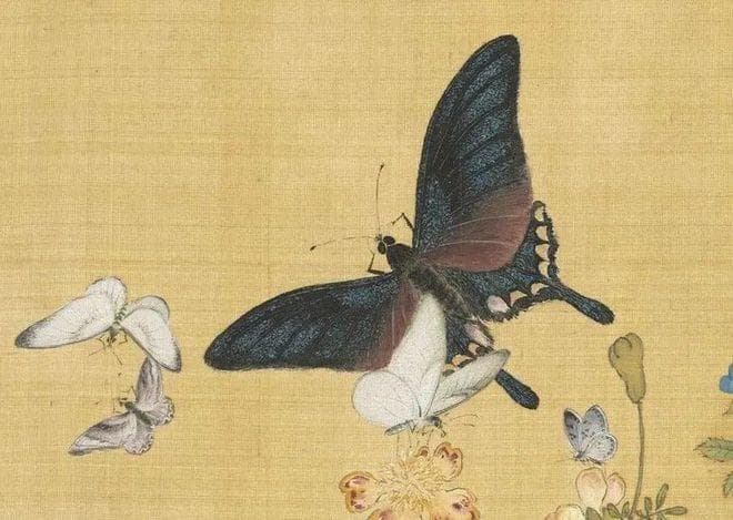 清 余省 《百蝶图》： 千姿百态的蝴蝶仙子