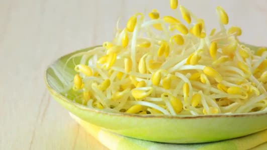 豆芽的功效作用功能主治是什么，有什么功效作用好处？