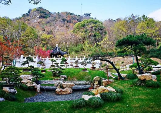昆山亭林公园游玩攻略：开放时间、门票及主要景点介绍