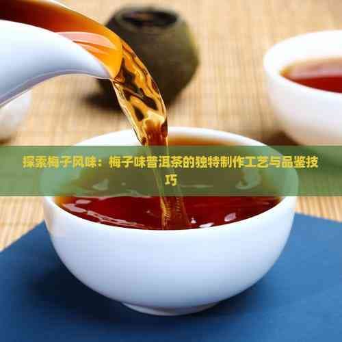 探索梅子风味：梅子味普洱茶的独特制作工艺与品鉴技巧
