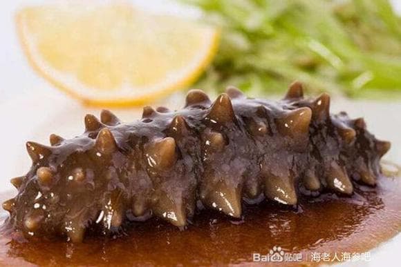 海参中的蛋白质、矿物质和活性成分含量极高