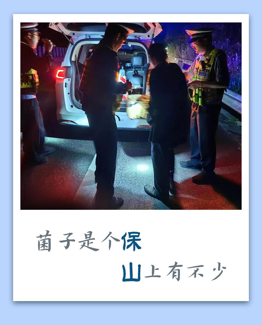 云南16个州市的交通安全“谐音梗”，太有料了！