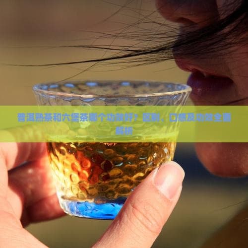 普洱熟茶和六堡茶哪个功效好？区别、口感及功效全面解析