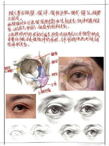 联考素描：透视灵魂——眼睛的素描艺术