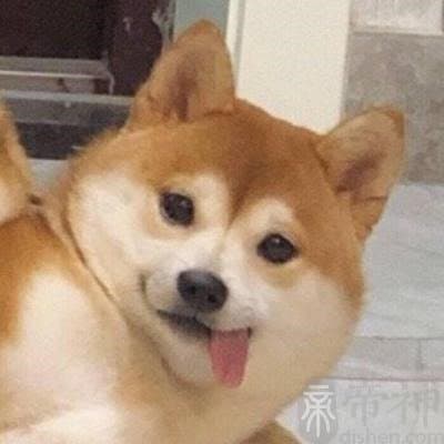 给仓鼠取名字可爱