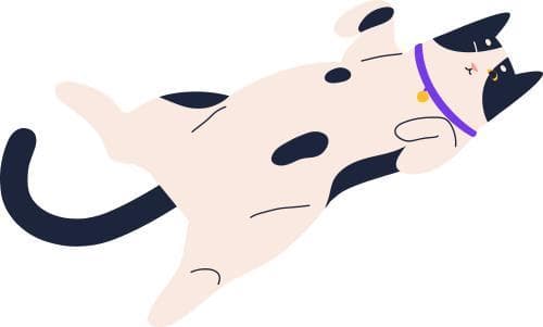 经常听到的“动不起来”是什么回事？