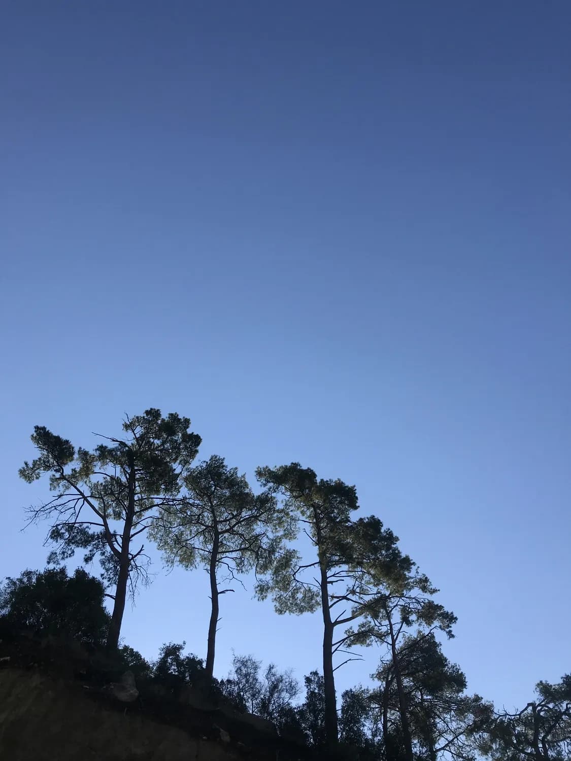 蓝爸爸的领导艺术：从蓝精灵到马克思