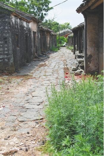没有汽车、没有高铁，古时海南人也能“环岛旅行”？