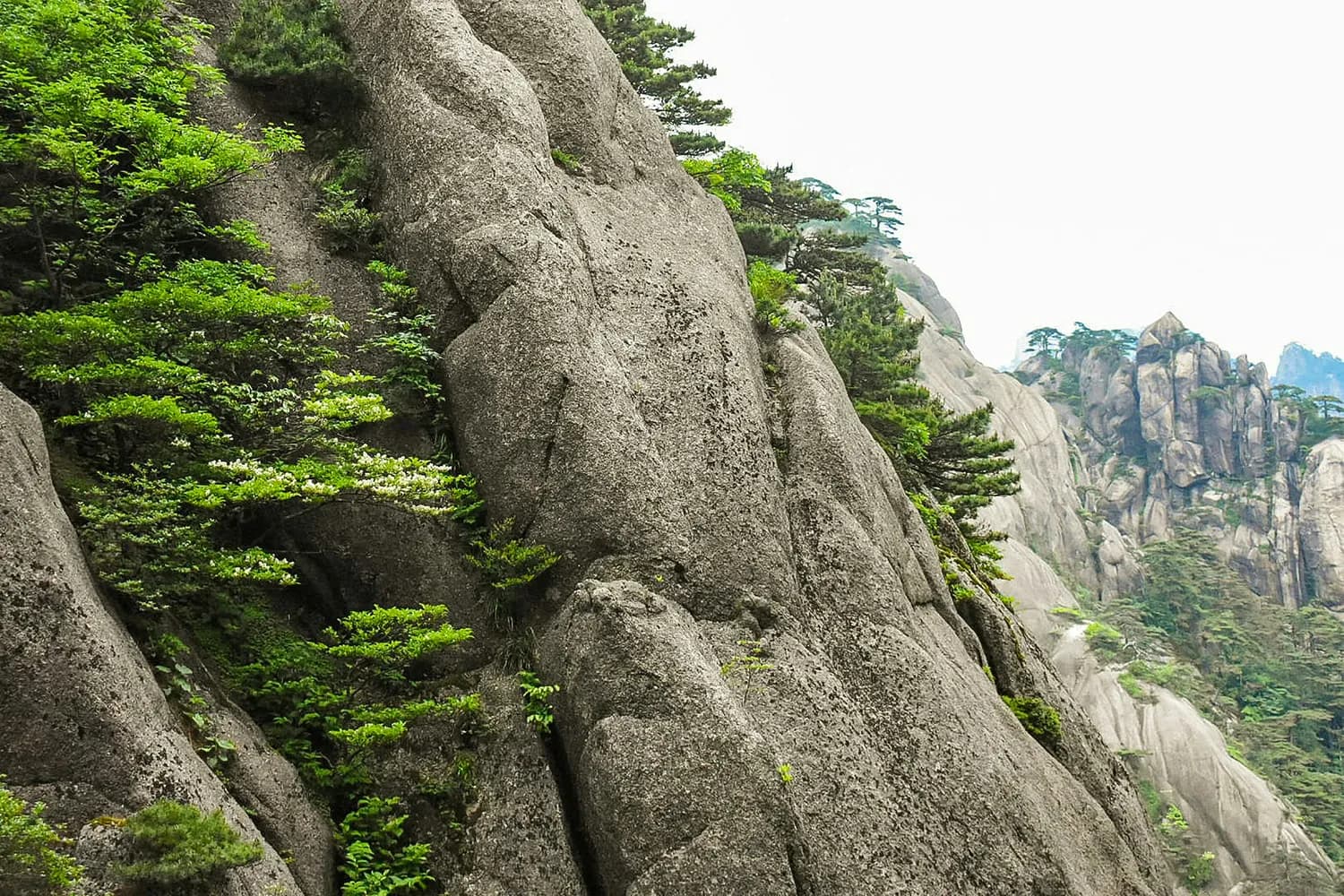 三清山阳光海岸：打卡最美高空栈道！