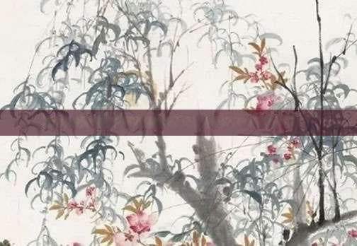 大花蕙兰花期浇水攻略，正确浇水，花开得更灿烂