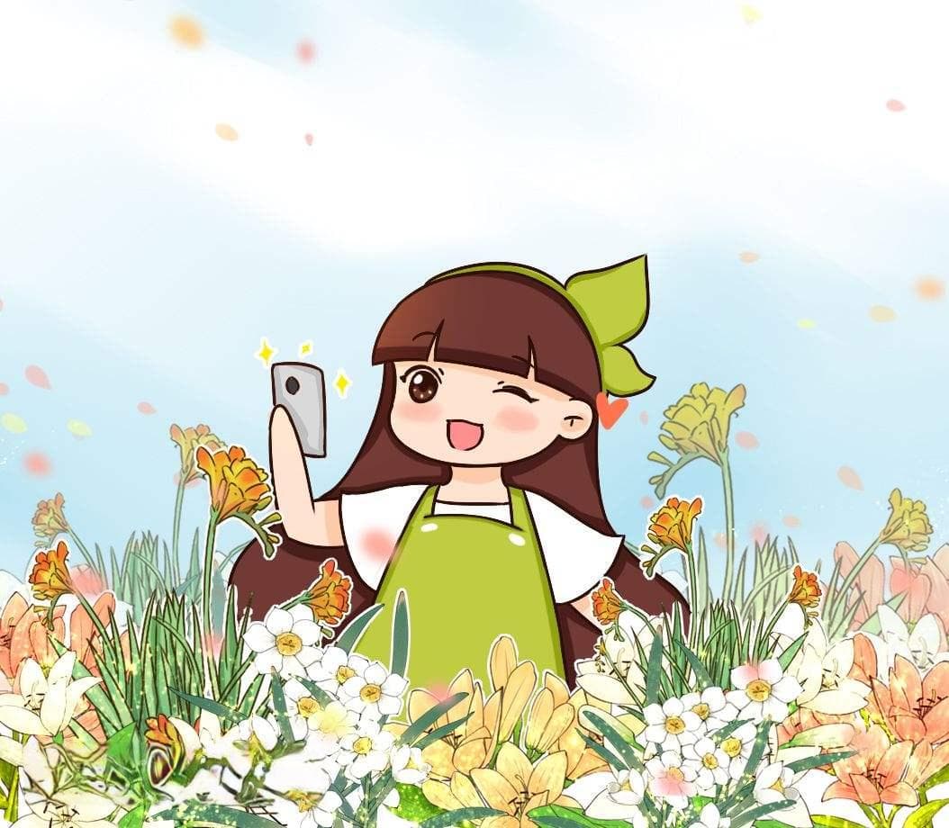 百合花品种大全图解及各称（百合花的种类以及名字）