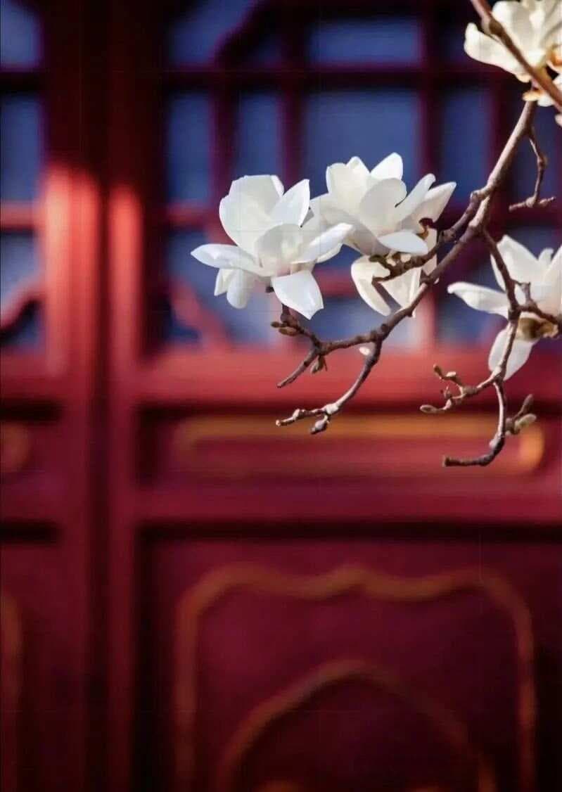 佛说“念念不忘，必有回响；若无回响，必有一伤！”……