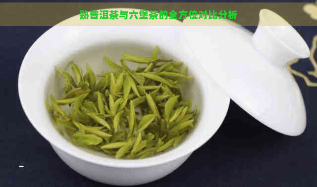 熟普洱茶与六堡茶的全方位对比分析
