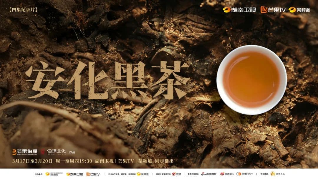 一片茶叶的千年传承 | 安化黑茶：在沉淀的时光里诉说传奇