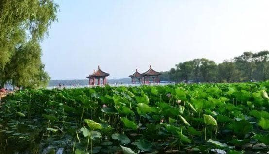 长春南湖公园：城市绿洲，生态天堂