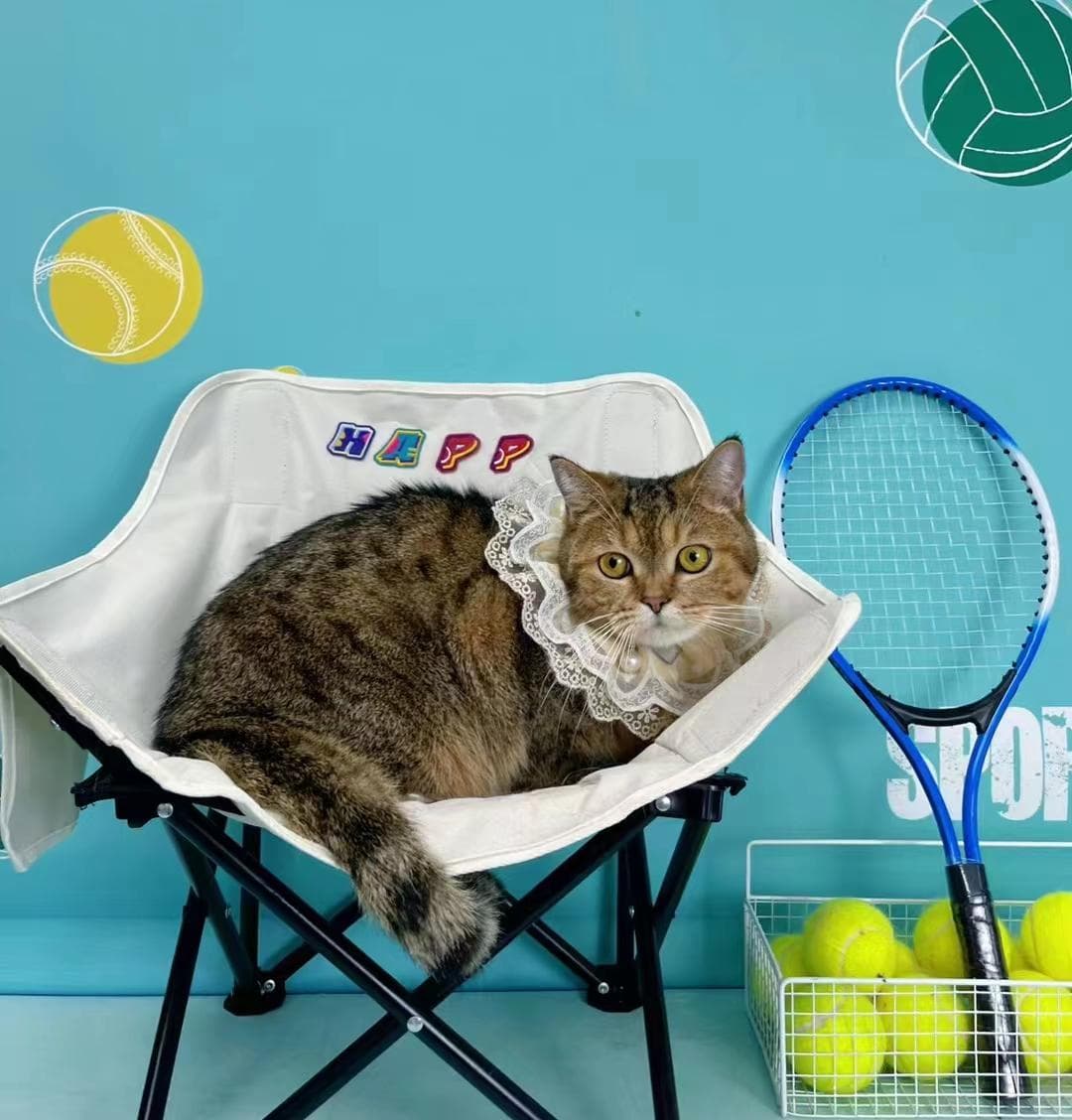 猫咪怕热吗？宠物医生在线咨询