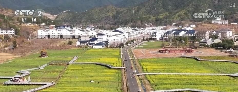 “鲜花+”盘活产业生态 花经济增“色”添“香”热文旅