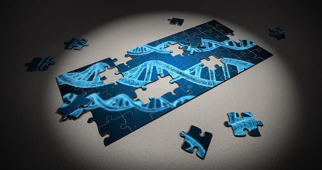 如何高效编辑速达摘要？这些实用技巧请收好
