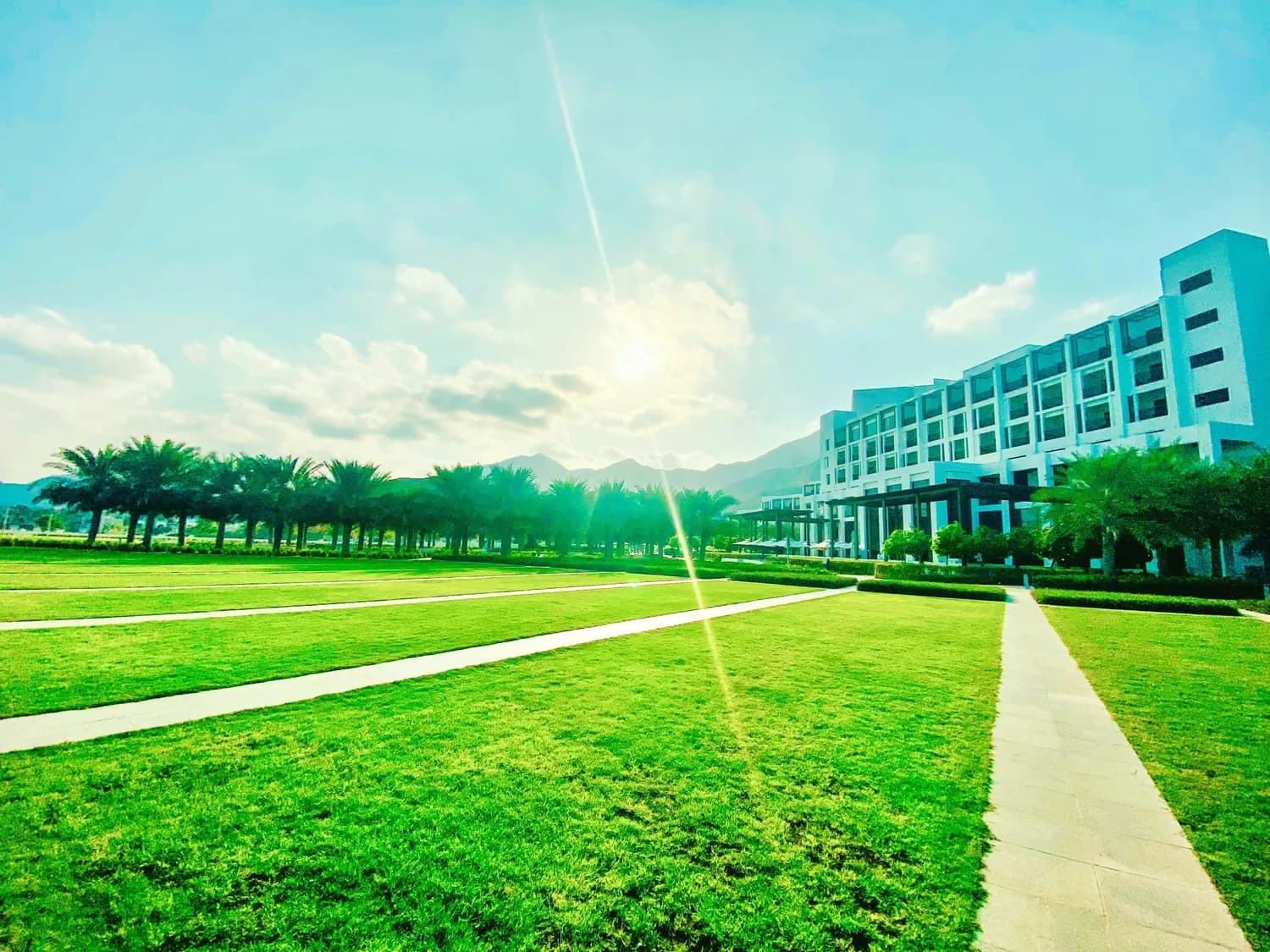 肇庆学院数学与统计学院诚聘博士英才，提供优厚待遇和广阔发展空间
