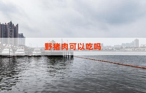 野猪肉可以吃吗？的全面解析