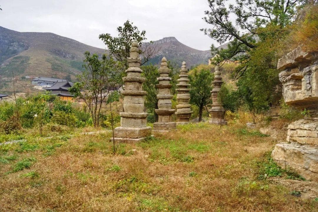 山东青州广福寺塔林
