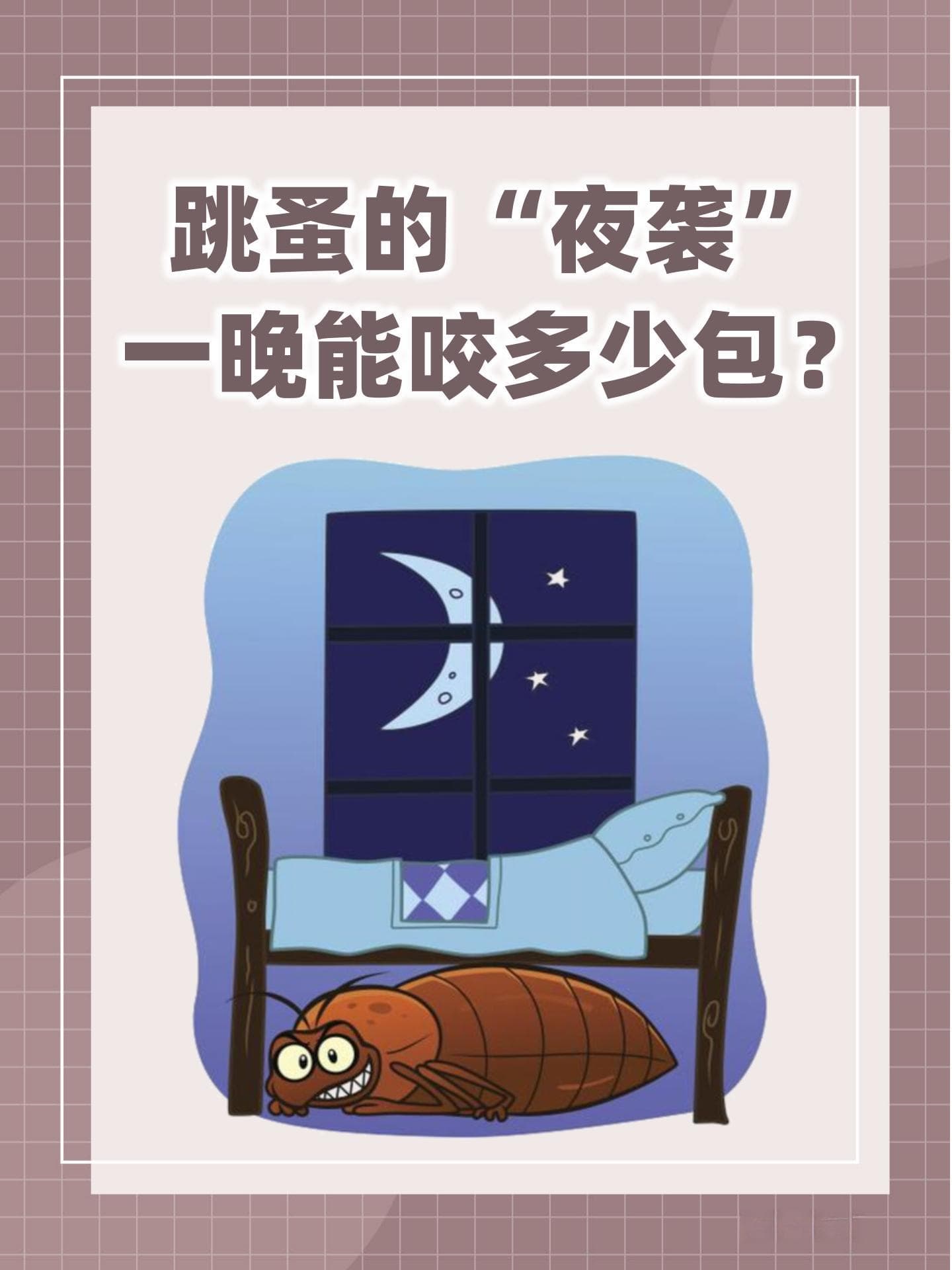 跳蚤的“夜袭”：一晚能咬多少包？