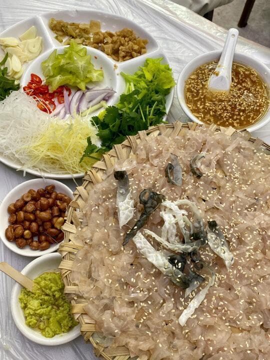 探秘中国生食文化：从潮汕鱼生到各地风味