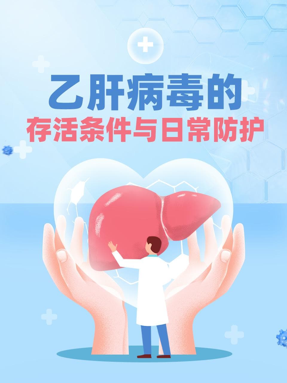 乙肝病毒的存活条件与日常防护