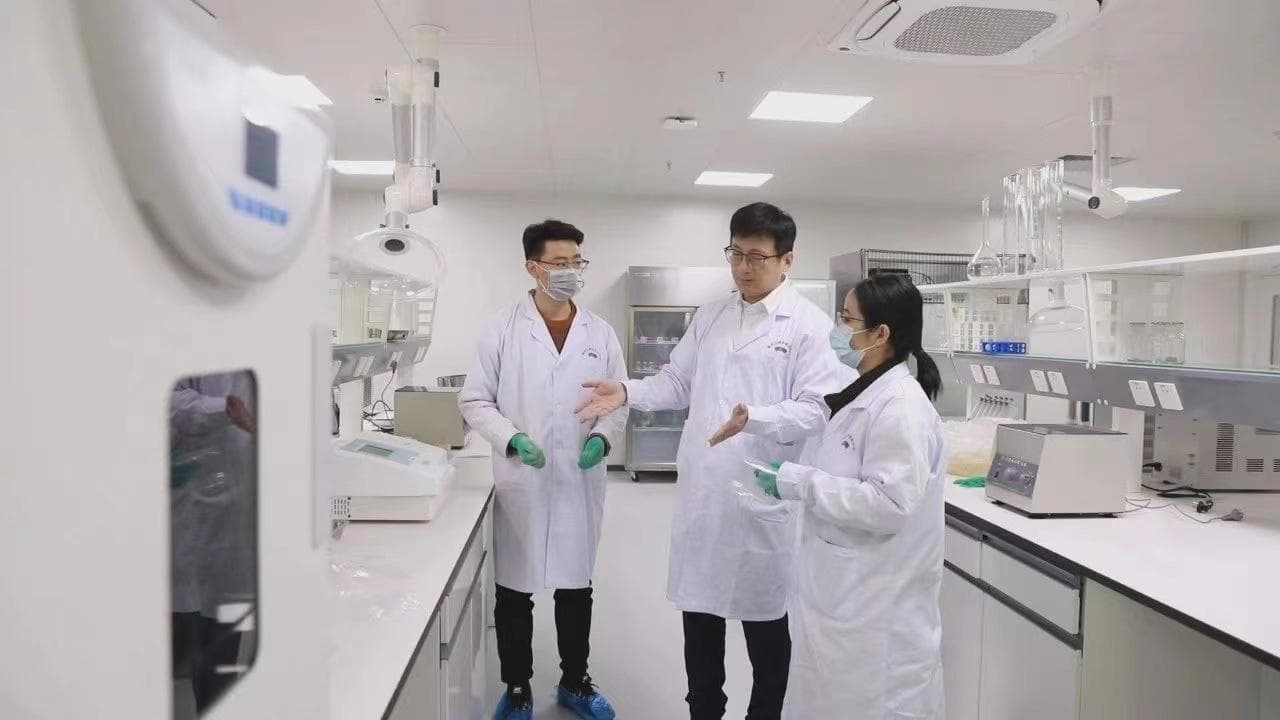 破解基因密码育良种：“羊芯片”，何以选出良种羊