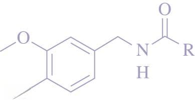 辣椒素：从化学结构到应用价值的全面解析