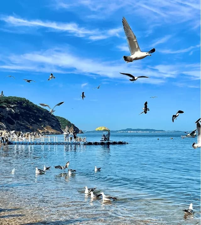 大连老虎滩海洋公园深度旅游指南：精华玩法速递！