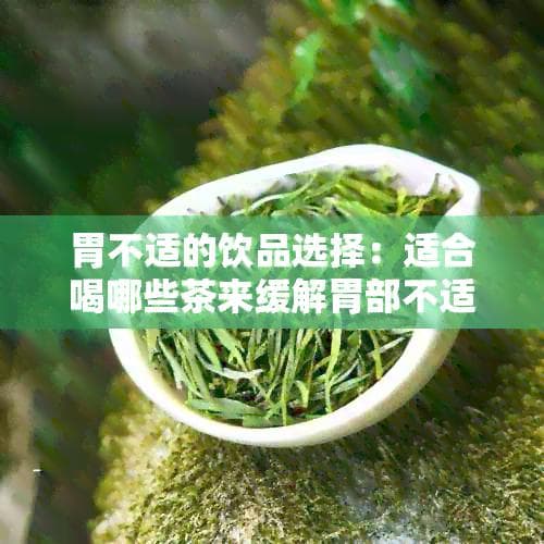胃不适的饮品选择：适合喝哪些茶来缓解胃部不适？