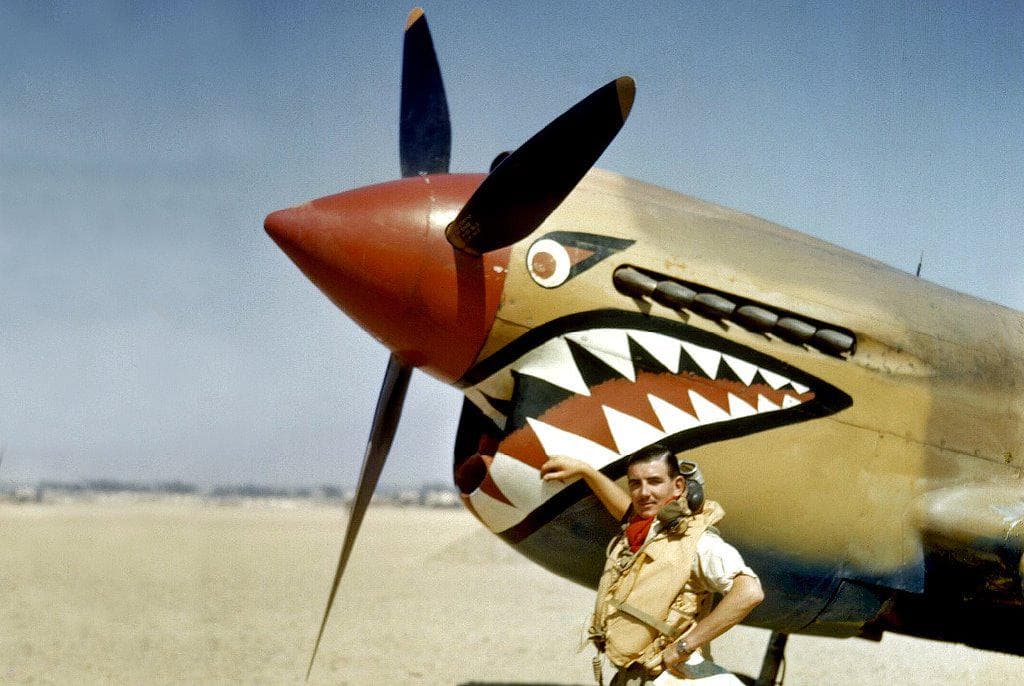 二战柯蒂斯 P-40 战鹰战斗机涂装艺术全纪录