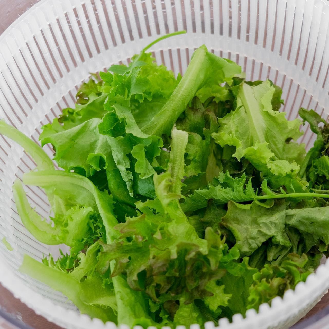 生菜保存与沙拉制作：9大技巧打造完美口感